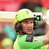 Alex Hales