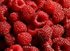 Raspberries