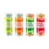 Wild Basin Boozy Sparkling Water