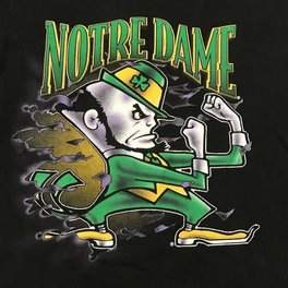 Notre Dame Fighting Irish popularity & fame