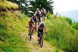 Bicycle tours