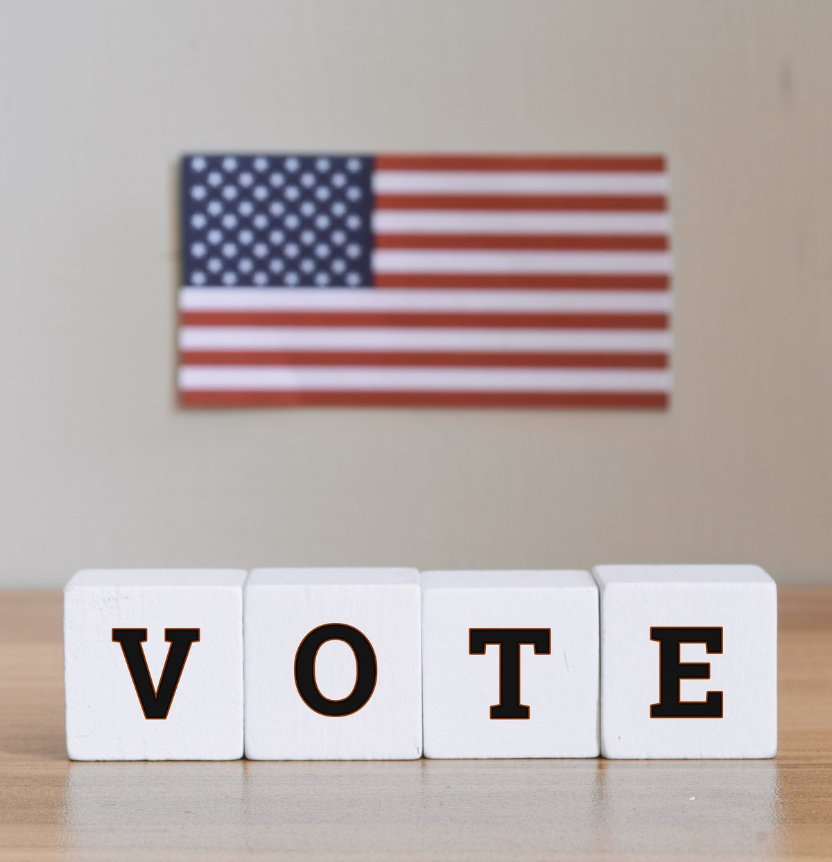 US Presidential Election 2024