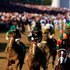 The Kentucky Derby