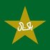 Pakistan National Cricket Team