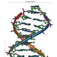DNA