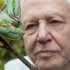 David Attenborough's Natural Curiosities