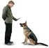 Dog training