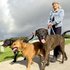 Dog walking
