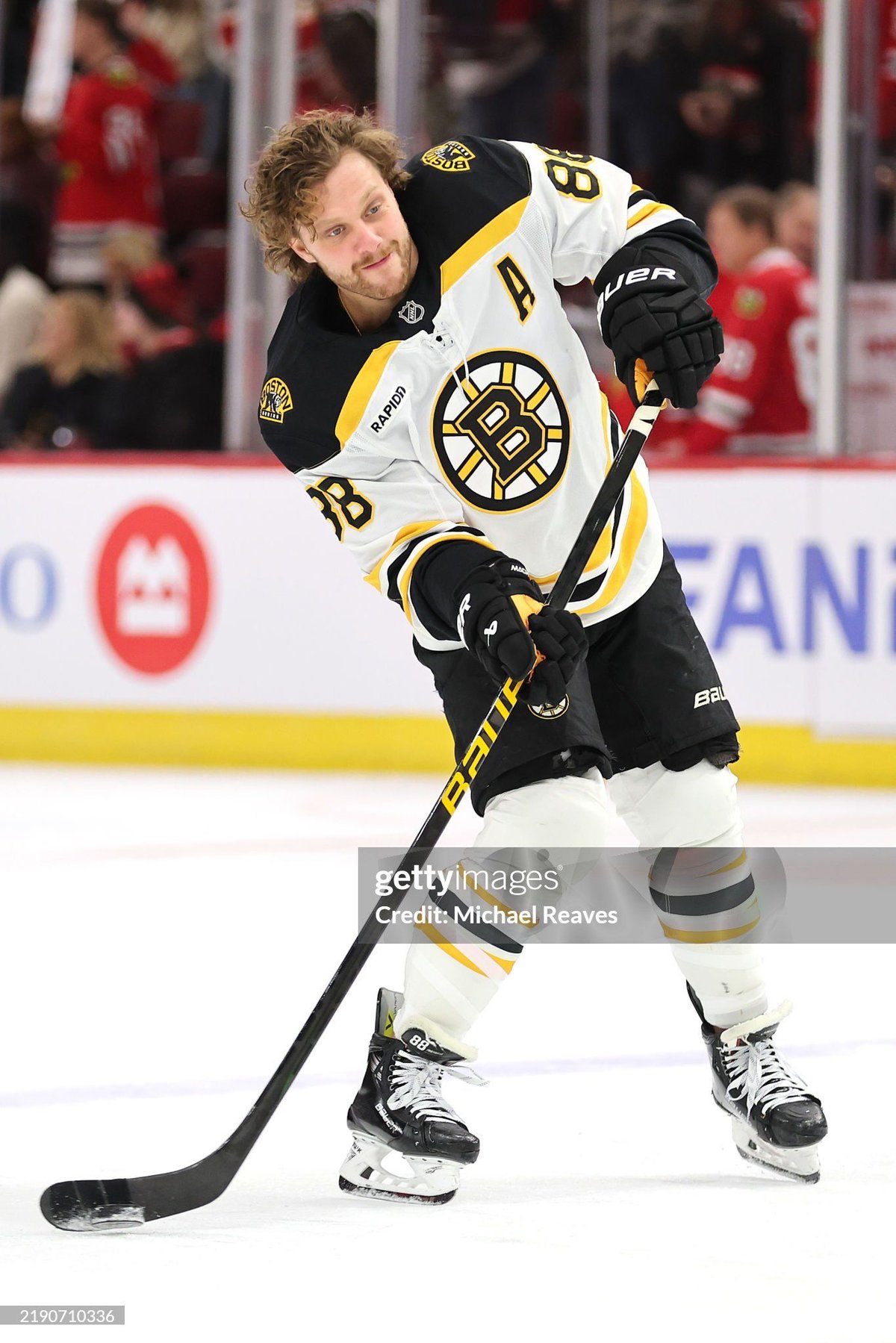 David Pastrnak