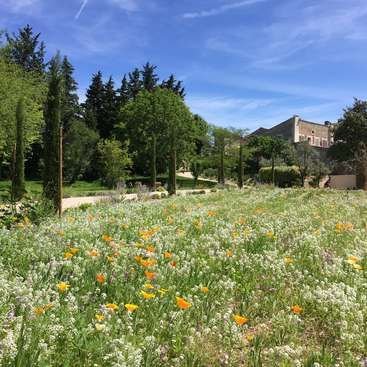 Countryside & Rural Life