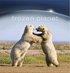 The Frozen Planet