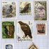 Stamp collecting