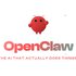 Open Claw