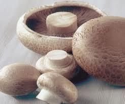 Mushrooms