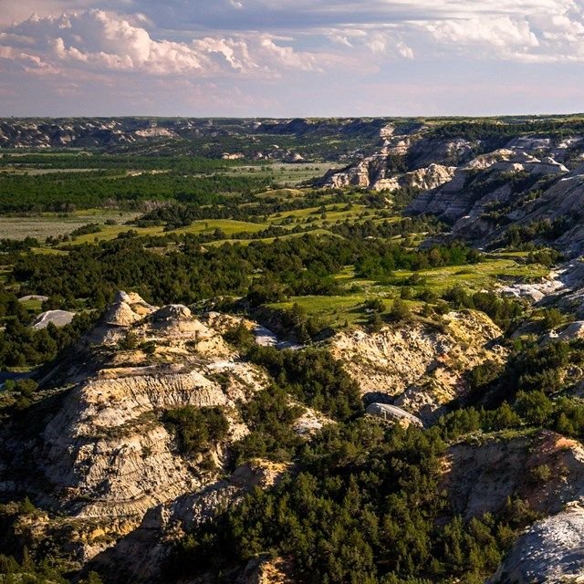 Theodore Roosevelt National Park