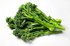 Broccolini