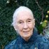 Jane Goodall