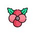 Remembrance Sunday