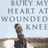 Bury My Heart at Wounded Knee