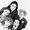 Butthole Surfers