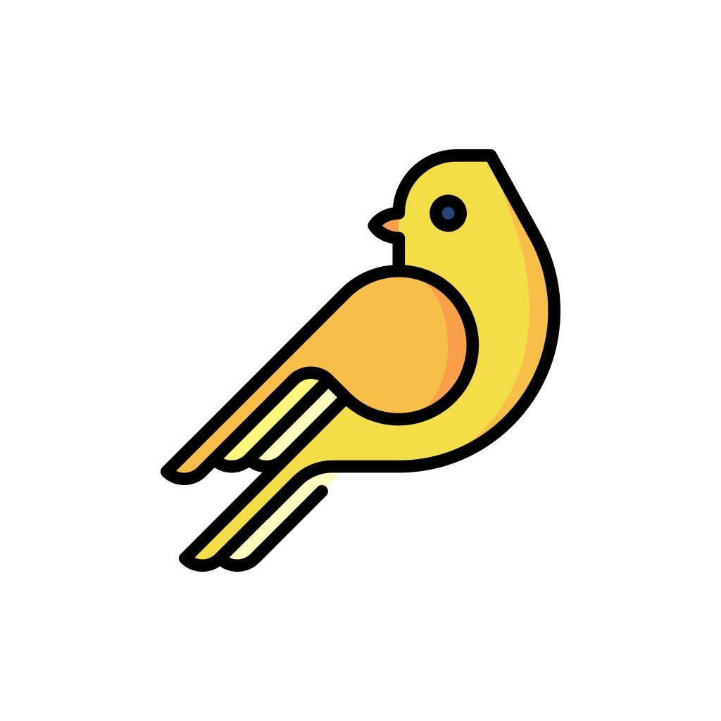 Bird watching