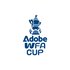 The Women's FA Cup