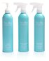 Three Main  Cleaning Product Subscription Box