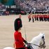 Trooping the Colour