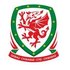 Wales National Football Team