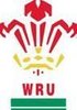Wales National Rugby Union Team
